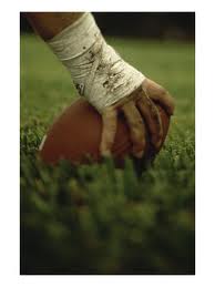 1981 NFL